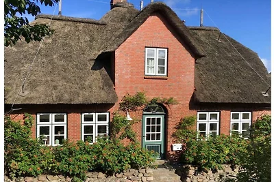 Ferienhaus in Utersum mit Schwimmbecken