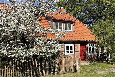 Stary dom przewoźnika na Łabie