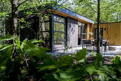 Ferienhaus in Beekbergen mit Terrasse