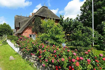 Ferienwohnung in Oevenum auf Foehr-ehem. TUI