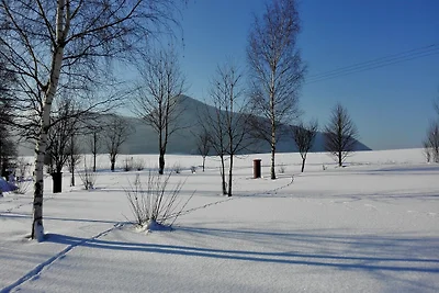 Holiday Home in Božanov near Broumovské Steny