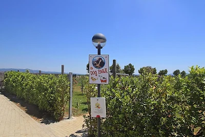 Residence per vacanze Rosa dei Venti, Vada