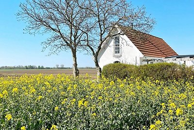 6 Personen Ferienhaus in SKIVARP-By Traum