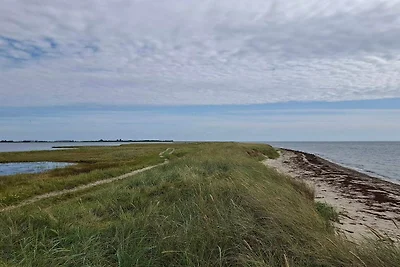 6 Personen Ferienhaus in Nakskov-By Traum