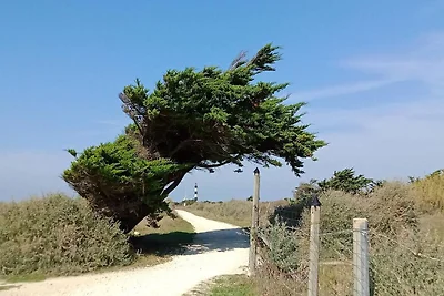 Romantischer Kurzurlaub auf der Île d'Oléron