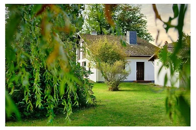 Vakantiehuis met 3 slaapkamers