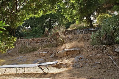 Casa Furrer Terranera