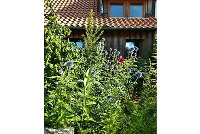 Casa de vacaciones en Hitzacker con Wi-Fi