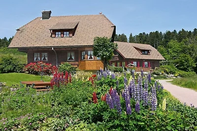 Lautertal nella casa di campagna Anja