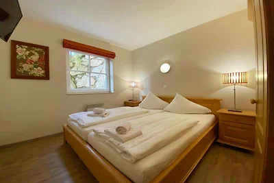 Alpine Apartment Near Ski Lift