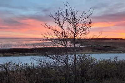 Helle Kustenoase in LyngsAY-By Traum