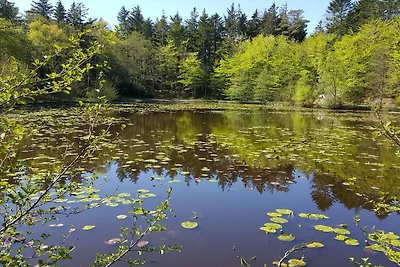 Oasi appartata con piscina -- By Traum...