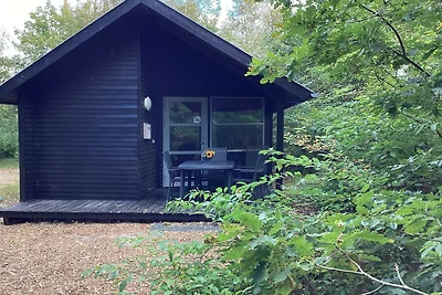 Hütte für 4 Personen im Campingresort Pandrup