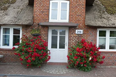 La casa frisona della nonna Anna