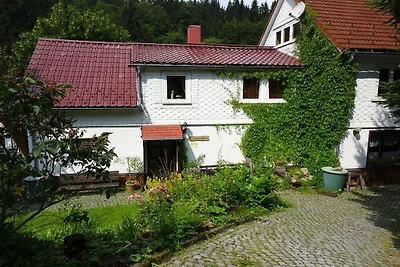 Ferienwohnung in Suhl mit Schwimmbecken