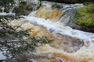 4 Personen Ferienhaus in LUR