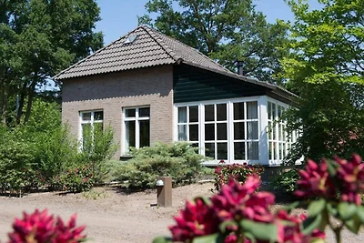 Casa vacanze a Bedafse Bergen