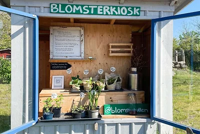 4 Personen Ferienhaus in FäRJESTADEN