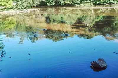 4 persoons vakantie huis in Tønder-By Traum