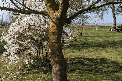 Kuća za odmor Dopust za oporavak Ribnitz-Damgarten