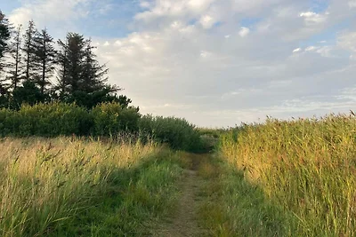 4 Sterne Ferienhaus in Hals