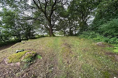 6 persoons vakantie huis in Hovborg-By Traum