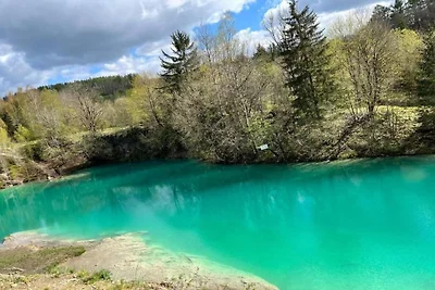 Geräumige Wohnung im Harz nahe Skigebiet