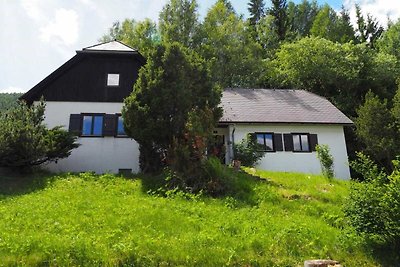 Graziosa casa vacanze a Bad Kleinkirchheim, v...