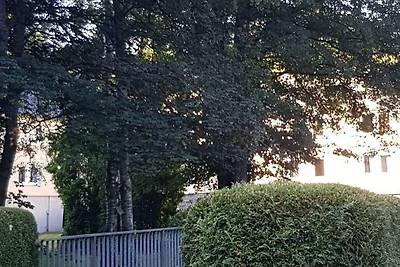 3 Weidenhäuser-molen