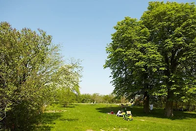 Rheinsberg im Gutshaus Lexow