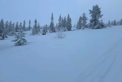 8 Personen Ferienhaus in SÄLEN-By Traum