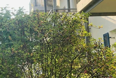 *DomiLia* Confortevole residenza per vacanze