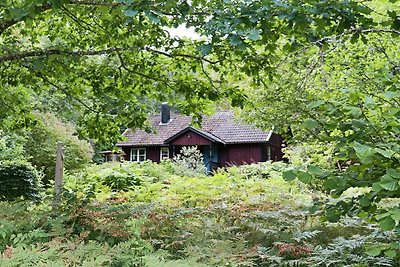 4 Sterne Ferienhaus in KALV