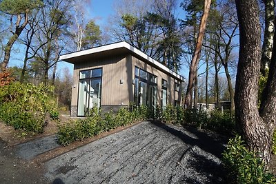 Tiny house met een sfeerhaard nabij de Veluwe