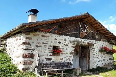 App. Cesa Vedla
