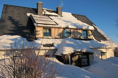 Ferienhaus Zinnwald groß