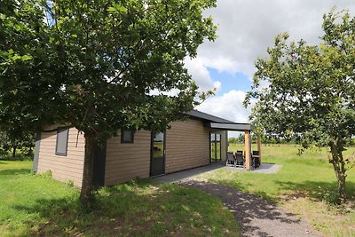 Chalet met gedeeld zwembad vlakbij Giethoorn