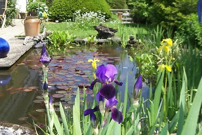 Country House Schwab - Appartamento per vacan...