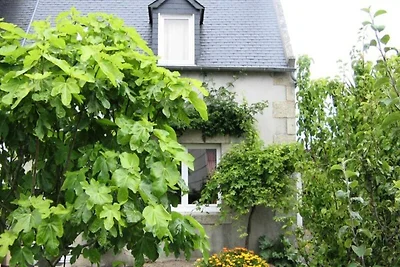 Haus in Trégastel in der Nähe der rosa...