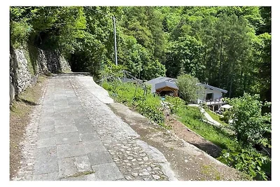Paradiso Verde - Lucerola