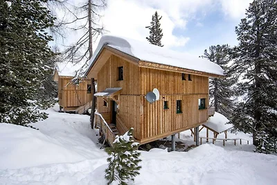 Premium Chalet mit Infrarotsauna