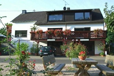 Vakantiewoning Moezelstrand 1