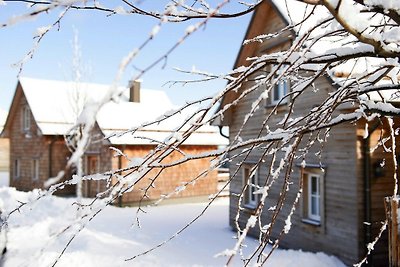 Holiday homes in Torfhaus Harzresort,...