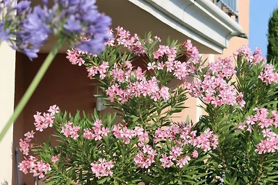 Casa vacanze Vacanza di relax Sainte Maxime