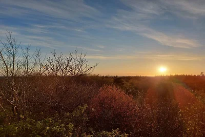 6 persoons vakantie huis in Nørre Nebel