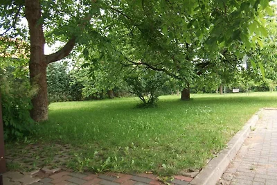 Ferienwohnung nahe Müritzufer