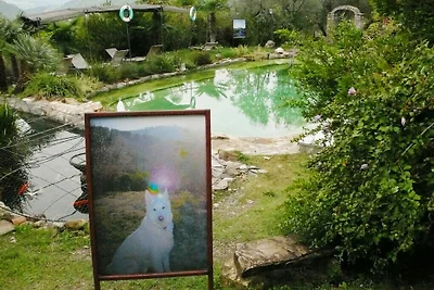 Graziosa casa vacanze in riva al lago