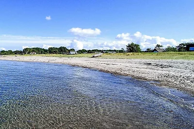 9 Personen Ferienhaus in Otterup-By Traum