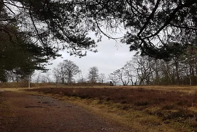 12 Personen Ferienhaus in Egå-By Traum