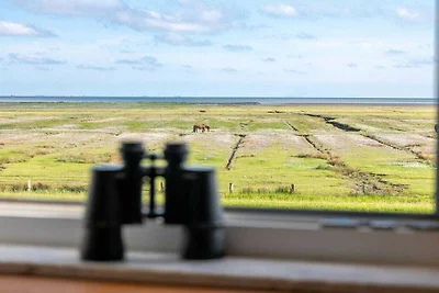 Ferienhaus in Juist mit Wifi und Cinema